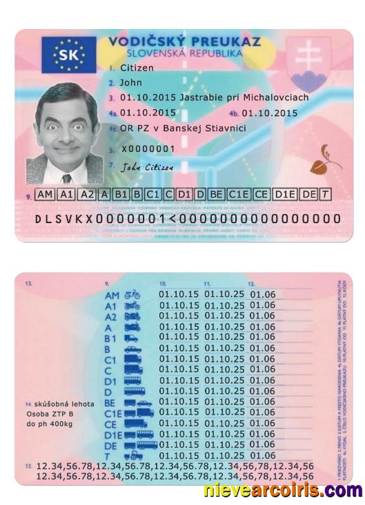 Slovakia driving license